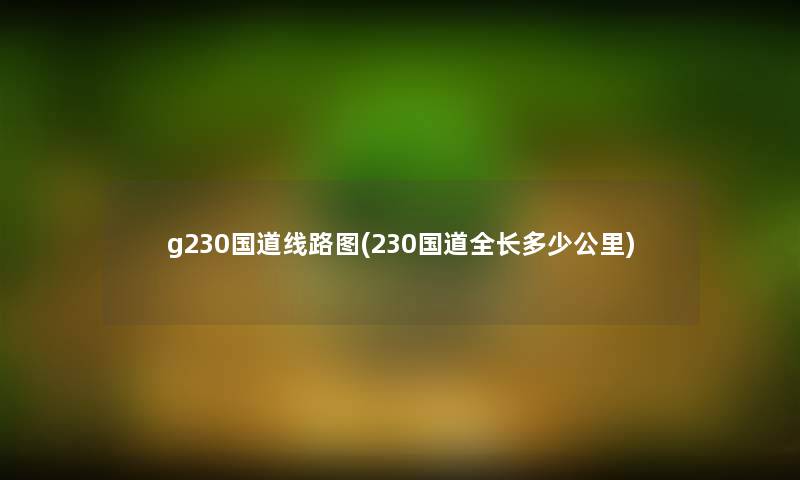 g230国道线路图(230国道全长多少公里)