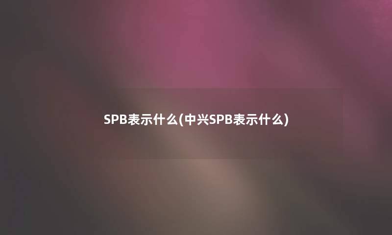 SPB表示什么(中兴SPB表示什么)