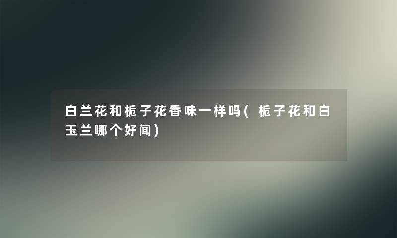 白兰花和栀子花香味一样吗(栀子花和白玉兰哪个好闻)