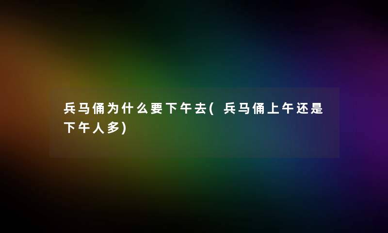 兵马俑为什么要下午去(兵马俑上午还是下午人多)