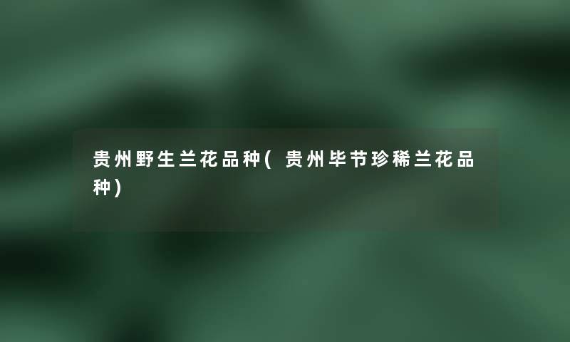 贵州野生兰花品种(贵州毕节珍稀兰花品种)