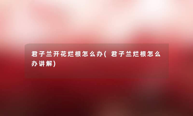 君子兰开花烂根怎么办(君子兰烂根怎么办讲解)