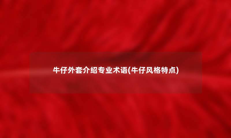 牛仔外套介绍专业术语(牛仔风格特点)