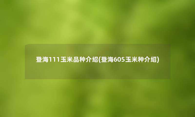 登海111玉米品种介绍(登海605玉米种介绍) 登海111玉米品种介绍(登海605玉米种介绍)