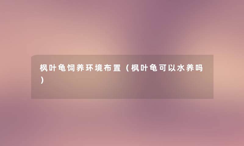 枫叶龟饲养环境布置(枫叶龟可以水养吗) 枫叶龟饲养环境布置(枫叶龟可以水养吗)