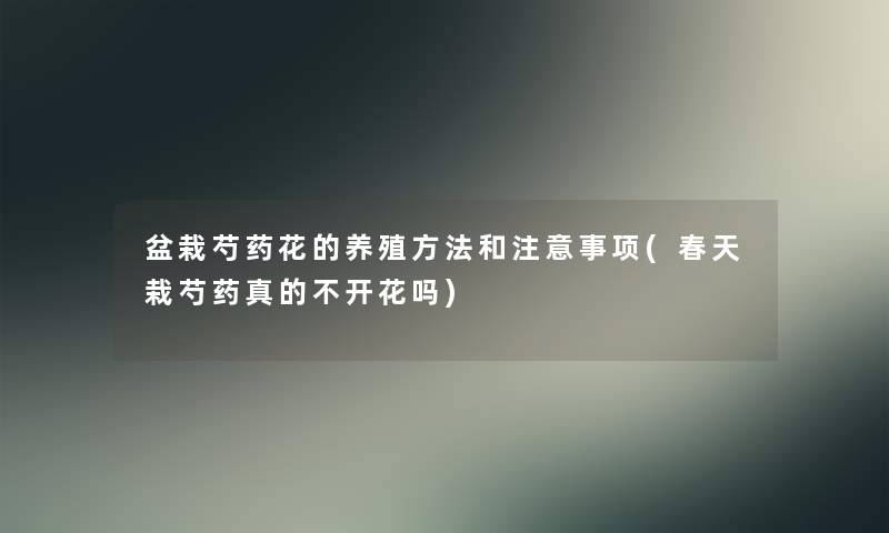 盆栽芍药花的养殖方法和事项(春天栽芍药真的不开花吗) 盆栽芍药花的养殖方法和事项(春天栽芍药真的不开花吗)