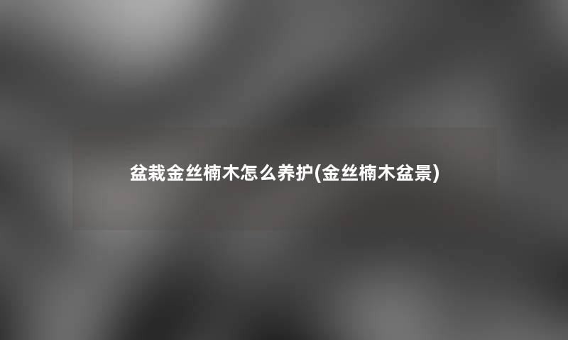 盆栽金丝楠木怎么养护(金丝楠木盆景) 盆栽金丝楠木怎么养护(金丝楠木盆景)