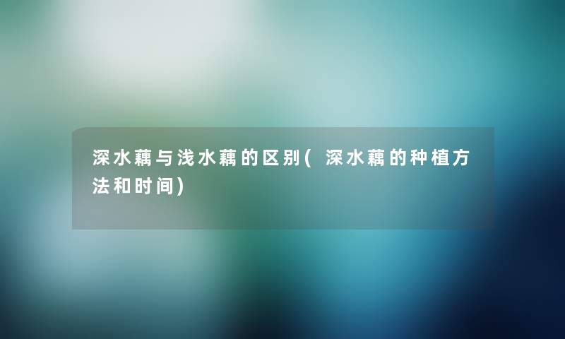 深水藕与浅水藕的区别(深水藕的种植方法和时间) 深水藕与浅水藕的区别(深水藕的种植方法和时间)