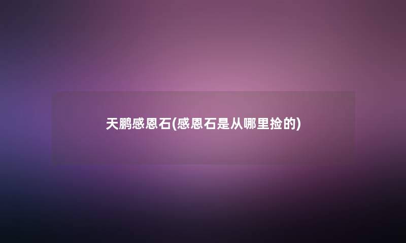 天鹏感恩石(感恩石是从哪里捡的) 天鹏感恩石(感恩石是从哪里捡的)
