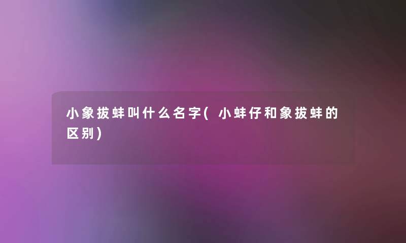 小象拔蚌叫什么名字(小蚌仔和象拔蚌的区别) 小象拔蚌叫什么名字(小蚌仔和象拔蚌的区别)