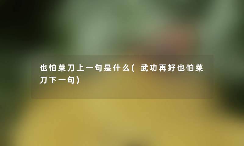 也怕菜刀上一句是什么(武功再好也怕菜刀下一句) 也怕菜刀上一句是什么(武功再好也怕菜刀下一句)