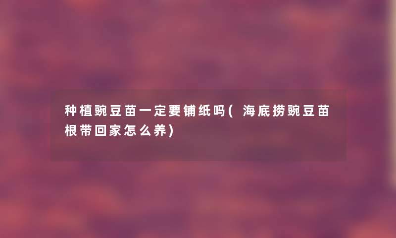 种植豌豆苗一定要铺纸吗(海底捞豌豆苗根带回家怎么养) 种植豌豆苗一定要铺纸吗(海底捞豌豆苗根带回家怎么养)