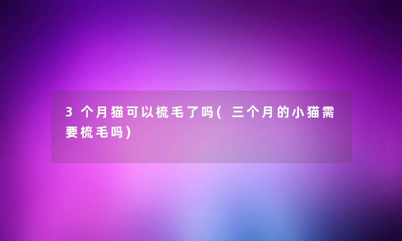 3个月猫可以梳毛了吗(三个月的小猫需要梳毛吗) 3个月猫可以梳毛了吗(三个月的小猫需要梳毛吗)
