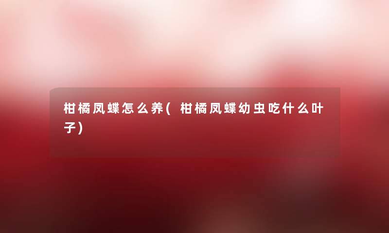 柑橘凤蝶怎么养(柑橘凤蝶幼虫吃什么叶子) 柑橘凤蝶怎么养(柑橘凤蝶幼虫吃什么叶子)