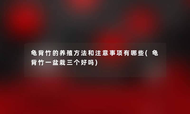 龟背竹的养殖方法和事项有哪些(龟背竹一盆栽三个好吗) 龟背竹的养殖方法和事项有哪些(龟背竹一盆栽三个好吗)