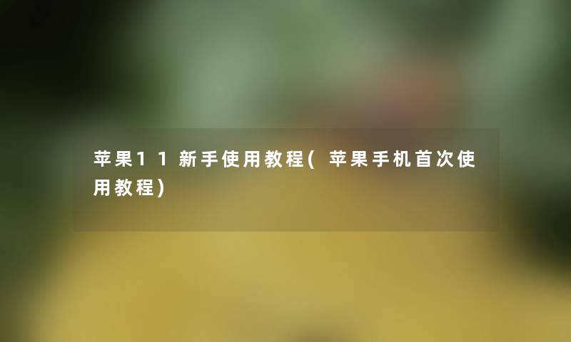 苹果11新手使用教程(苹果手机首次使用教程) 苹果11新手使用教程(苹果手机首次使用教程)