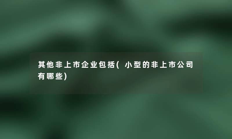其他非上市企业包括(小型的非上市公司有哪些)