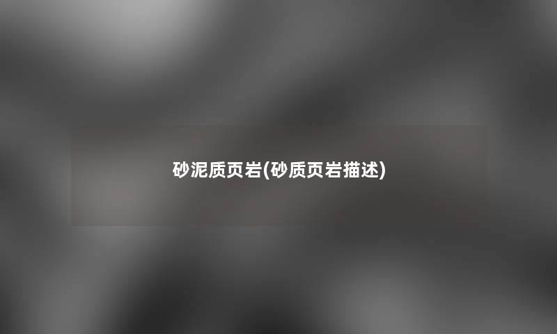 砂泥质页岩(砂质页岩描述)