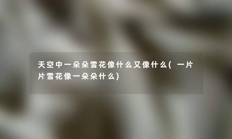 天空中一朵朵雪花像什么又像什么(一片片雪花像一朵朵什么)