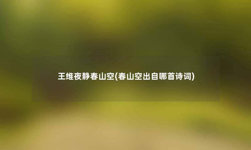 王维夜静春山空(春山空出自哪首诗词)