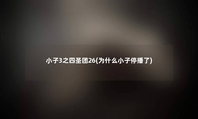 小子3之四圣团26(为什么小子停播了)