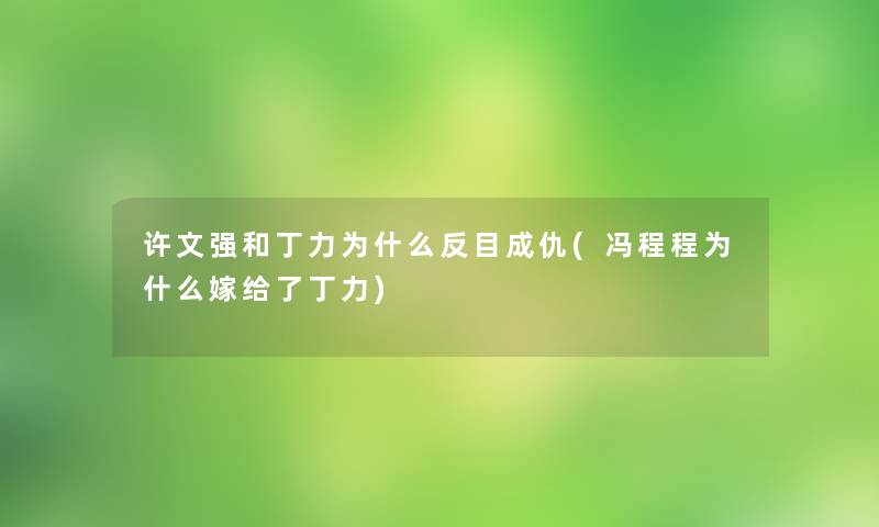 许文强和丁力为什么反目成仇(冯程程为什么嫁给了丁力)