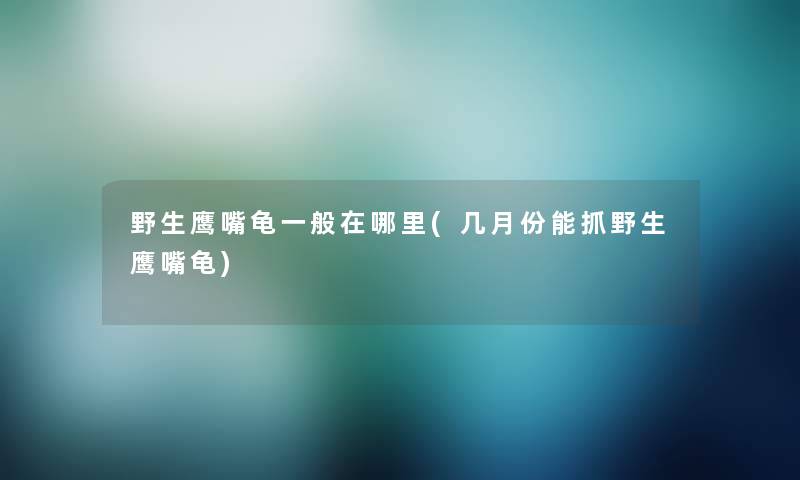 野生鹰嘴龟一般在哪里(几月份能抓野生鹰嘴龟)
