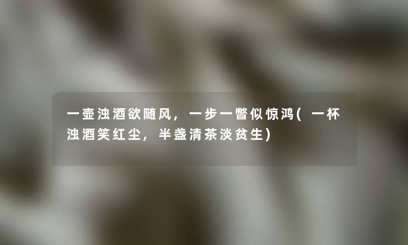 一壶浊酒欲随风,一步一瞥似惊鸿(一杯浊酒笑红尘,半盏清茶淡贫生) 一壶浊酒欲随风,一步一瞥似惊鸿(一杯浊酒笑红尘,半盏清茶淡贫生)