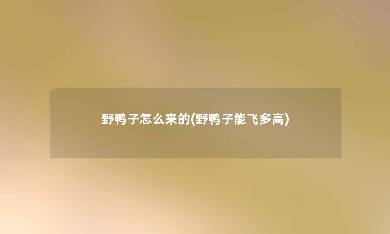 野鸭子怎么来的(野鸭子能飞多高)